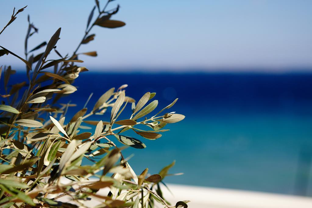 Amarandos Sea View Apartments Vokaria Pokój zdjęcie
