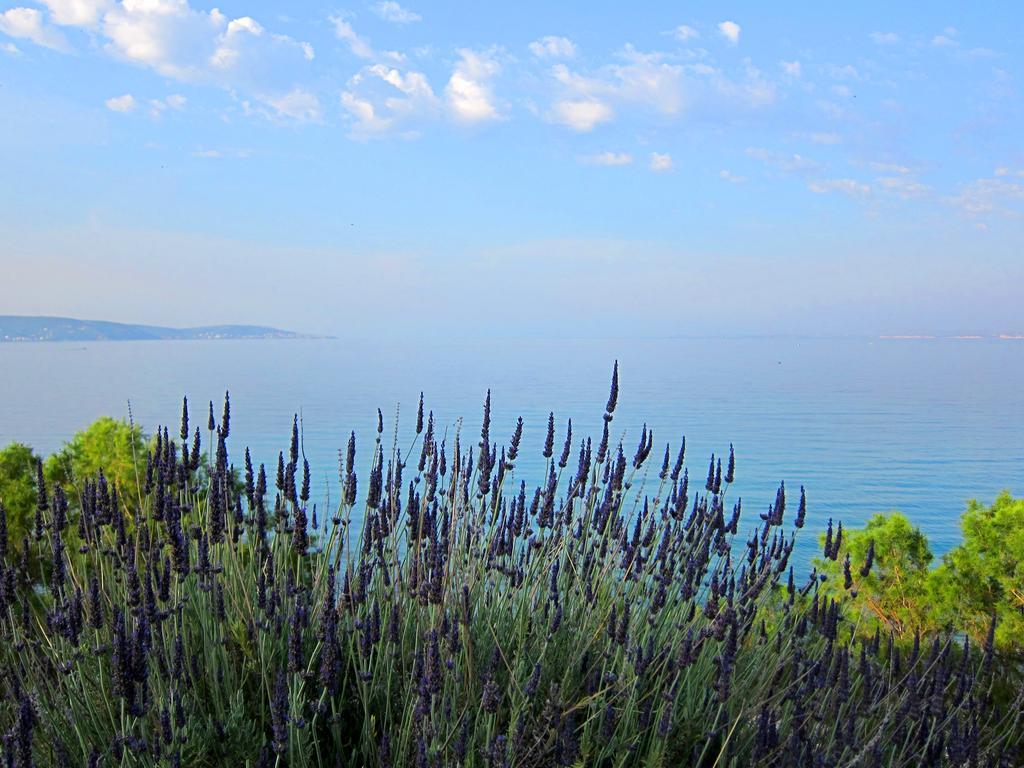 Amarandos Sea View Apartments Vokaria Zewnętrze zdjęcie